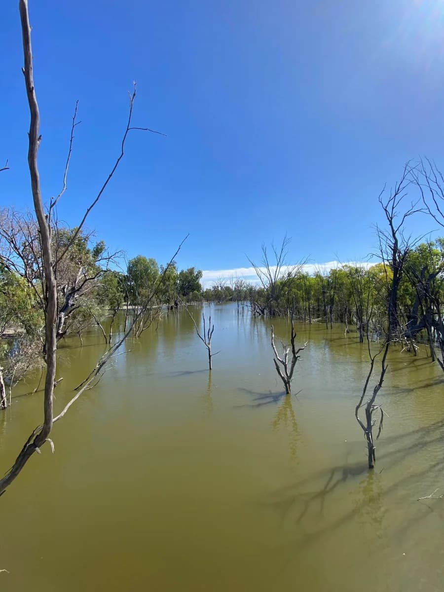 Through the Hay Plains, image 3