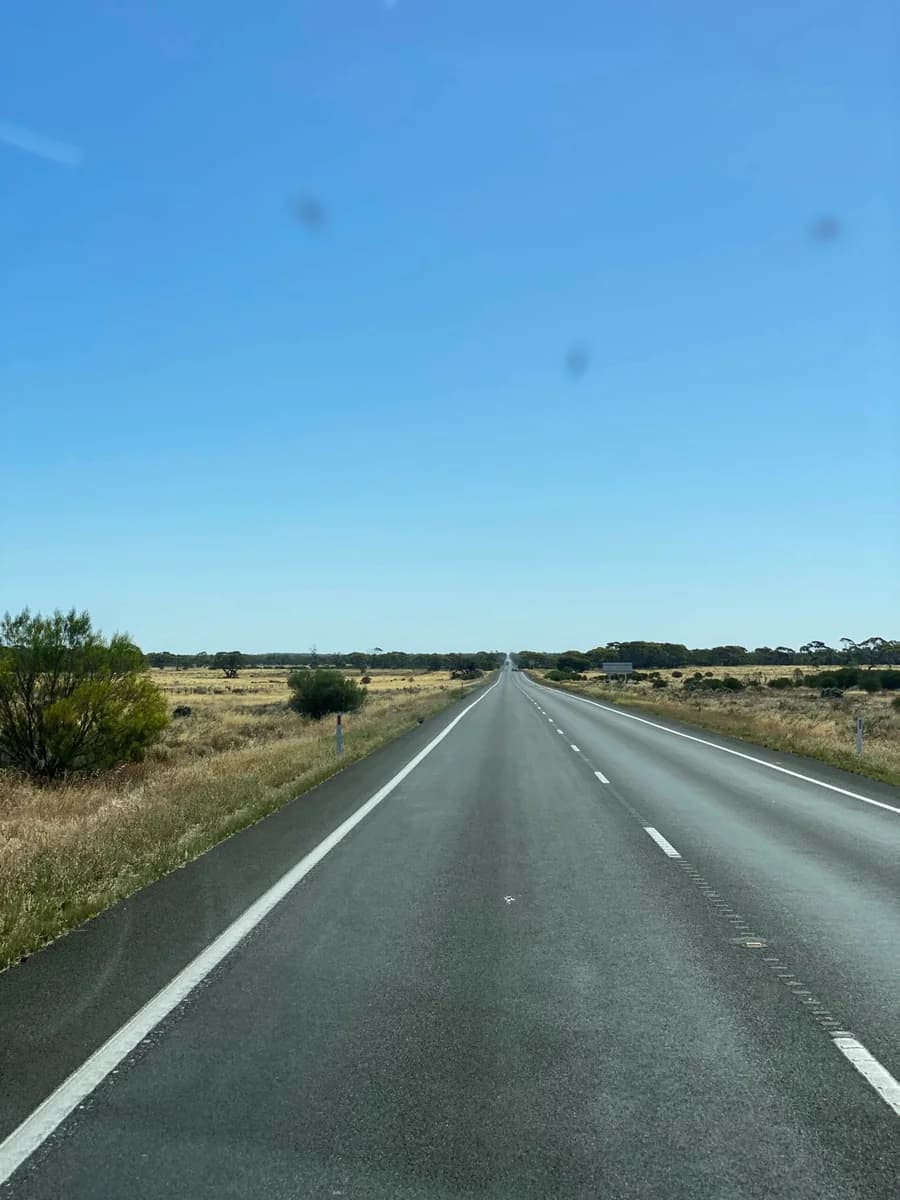 Through the Hay Plains, image 4